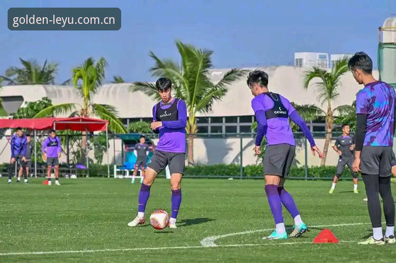 乐鱼体育平台 vs 普通体育平台：为什么选择乐鱼是更明智的决定？