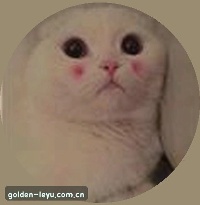 王磊